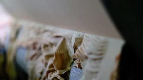 Enterprise for the production of yeast. Stock Footage 237488932