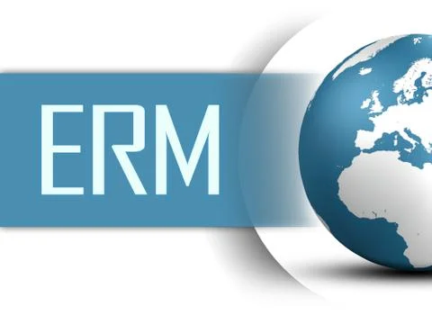 Enterprise risk management Stock Illustration