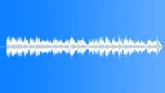 The Entertainer (Ambient Ragtime) Stock Music