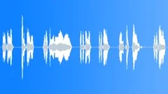 EntertainingSound Effect