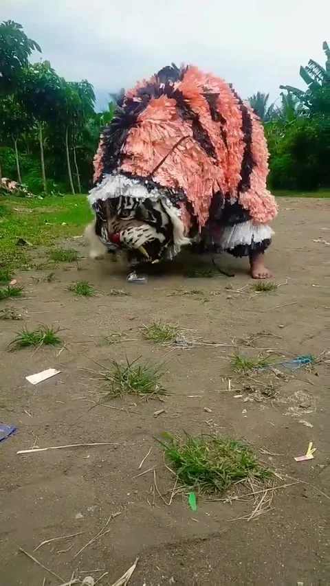 Entertainment arts Stock Footage 244584571