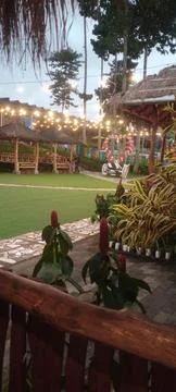 Entertainment Фото