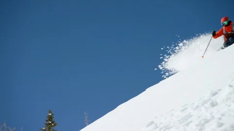 Enthusiastic skier rolling down the fresh powder snow Stock Footage 116746478