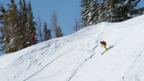 Enthusiastic skier skiing through snow covered pine trees Stock Footage 116746378