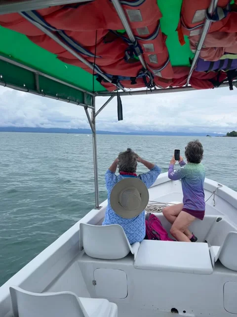 Enthusiastic Tourists React to Whale Sightings, Golfito, Golfo Dulce - 05 Sep 20 Video stock 253206785