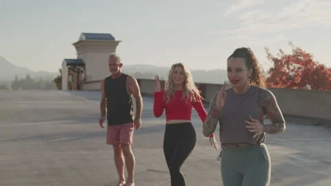 Enthusiastic Yogis Doing Lunges in the Sunlight Stock Footage 208773135