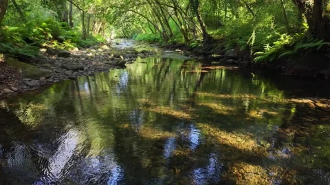 The Entíns River With Ruso Bridge Flows Through Stock Footage 344946259