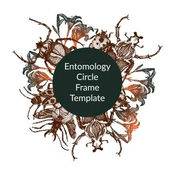 Entomological vector rounded frame template Stock Illustration