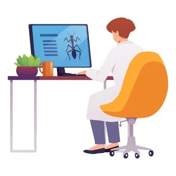 Entomologist exploring insects, examine and study bugs on the computer desk Stock Illustration