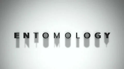 Entomology 3D title animation matte black text on a white background Stock Footage 300716951