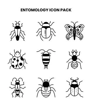 Entomology DuoTone Bundle Icons Pack Illustrazione stock