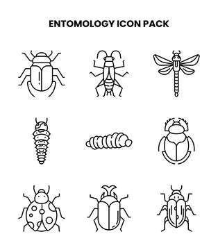 Entomology Line Vector Icons Pack Stock Illustration