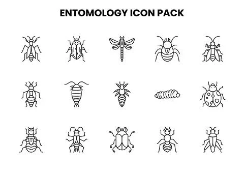 Entomology Line Vector Icons Pack Stock Illustration