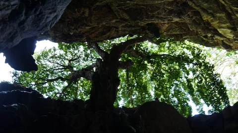 Entrada de luz al interior de una cueva Stock Footage 95263596