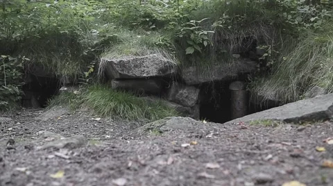 The entrance to an abandoned quarry Stock Footage 64476571
