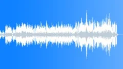 Entrance Of The Gladiators Stock Music