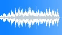 Entrance Of The Gladiators Stock Music