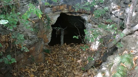 Entrance of old Uranium Mine Stock Footage