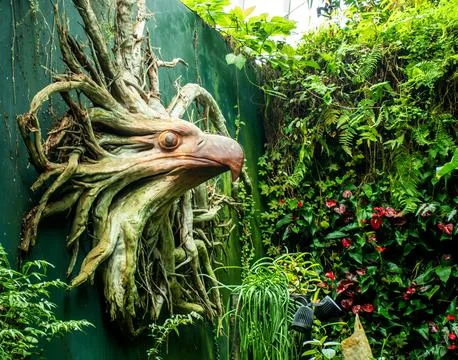 Entree Kibbles Cloud Forest Stock Photos