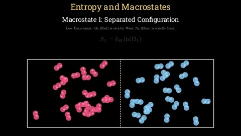 Entropy and Macrostates Vídeos de archivo 336565598
