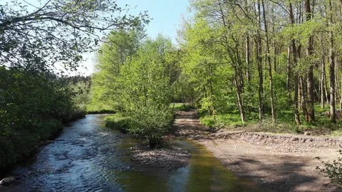 Entry into the forest by the river Video stock 91866775