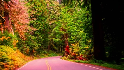 Entry-Mt-Rainer Stock Footage 139528383