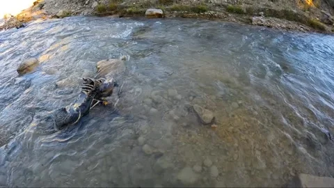 Entry Point into the Upper Narrows of Zion with a deer Carcass in the Water, Top Stock Footage 278193698