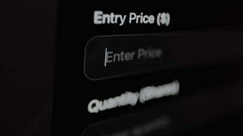 Entry Price field for inputting the cost in US dollars and Quantity input field Vídeo Stock 328837090