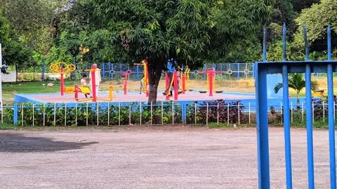 Entry into a Serene Park in Daylight Stock Footage 317371953