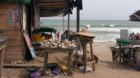 Entry view of Kokrobite Beach golden sands and Atlantic Ocean, Ghana Video stock 293237323