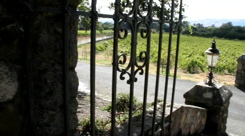 Entry to the Vineyards Stock Footage 850312