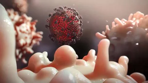 Entry of virus into cell 库存插图