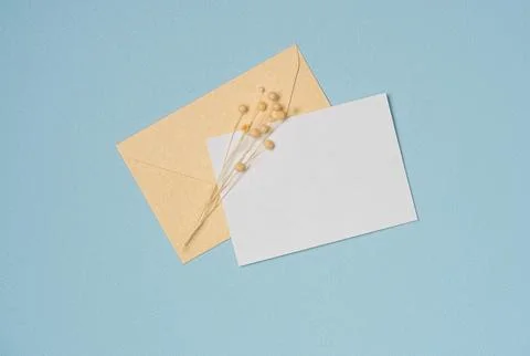 Envelope and empty white paper list with flower on blue background from above Stock Photos