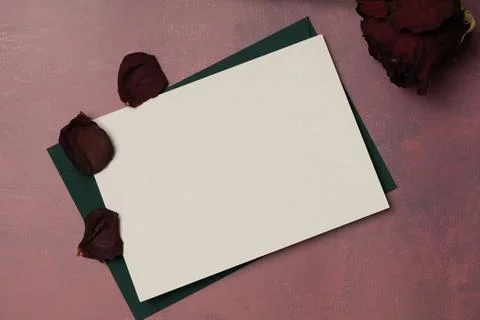 Envelope and empty white paper list with rose petals on burgundy background f Stock Photos