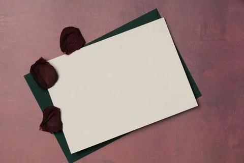 Envelope and empty white paper list with rose petals on burgundy background f Stock Photos