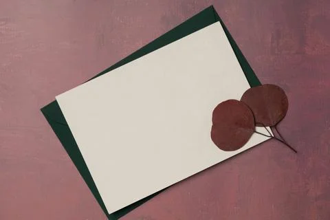 Envelope and empty white paper list on burgundy background from above. Autu.. Foto stock