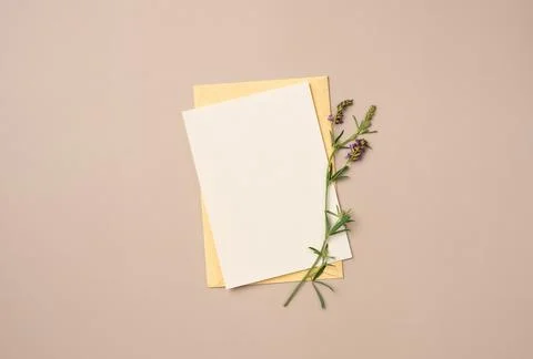 Envelope and paper blank sheet with flower on beige background from above. .. Stock Photos