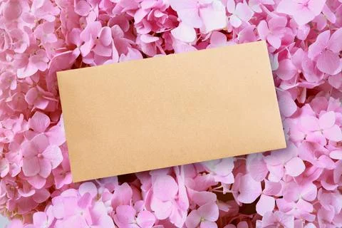 Envelope, blank card on pink hydrangea as flowers background. Foto stock
