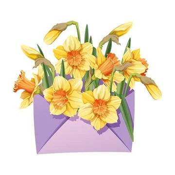 Envelope with daffodils on an isolated background. Spring floral illustrati.. Stock Illustration
