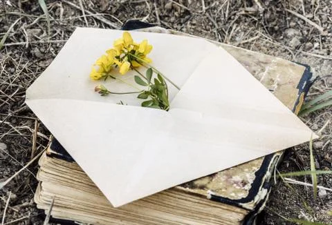 Envelope with flower Stock Photos