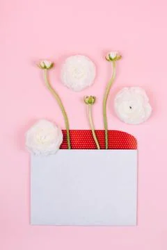 Envelope with flowers. Stock Photos