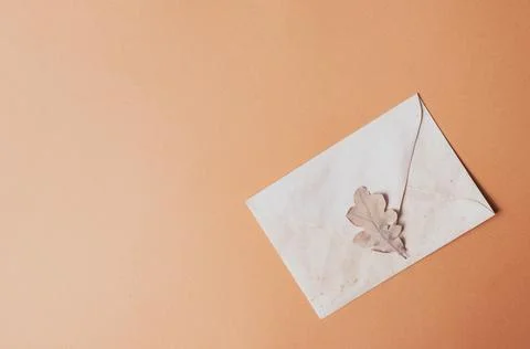 Envelope with oak leaf background with cope space minimalistic mail message c Stock Photos