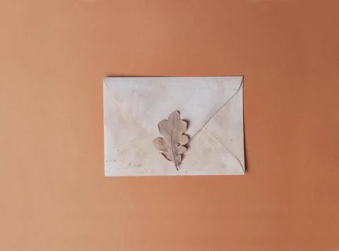 Envelope with oak leaf background with cope space minimalistic mail message c Stock Photos