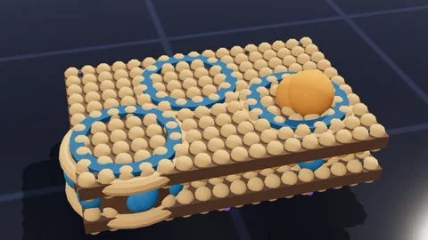 Envelope section molecular biology 3d loop 3D animation seamless loop Stock Footage 341733722