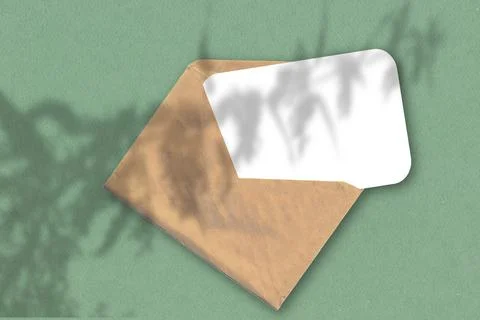 An envelope with a sheet of white textured paper on the green wall background Stock Illustration