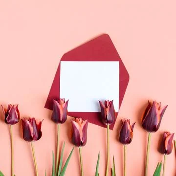 Envelope with spring flowers Stock Photos