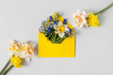 Envelope with spring flowers Stock Photos