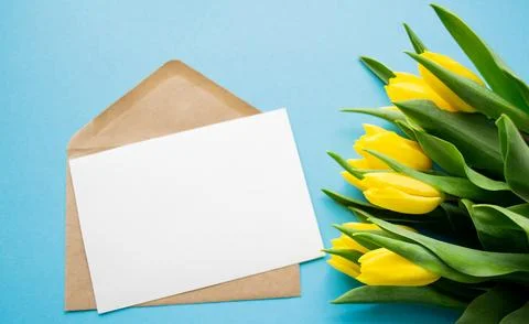 Envelope with white paper for text on blue background and yellow tulips Stock Photos