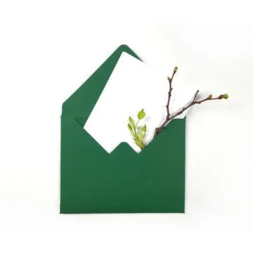 Envelopes with space for text. Spring invitation. Envelope with twigs and leaves Stock Photos