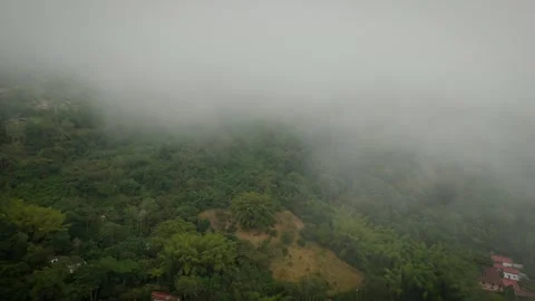Enveloping Opacity Engulfing Verdure-Clad Prominences With Scattered Edifices Video stock 316860415